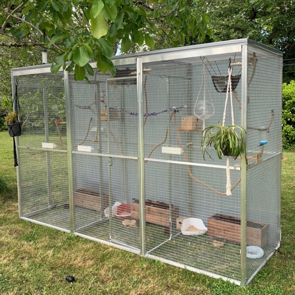 Enclos pour chats 1m x 3m