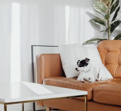 wd-furniture-blog-5-opt